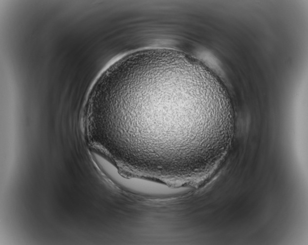 X0000085071284200703121634