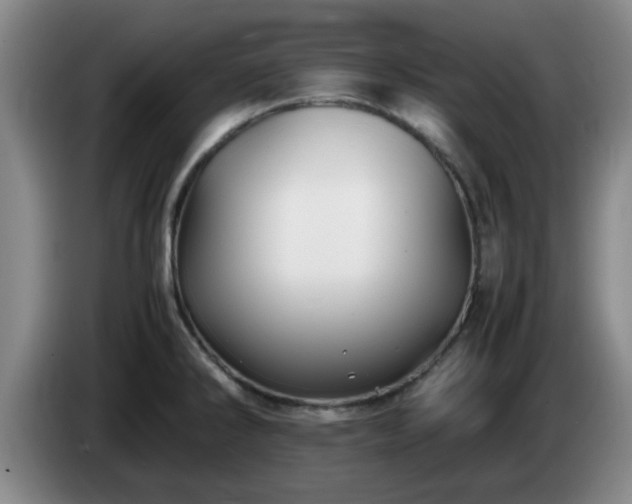 X0000085071286200703121634