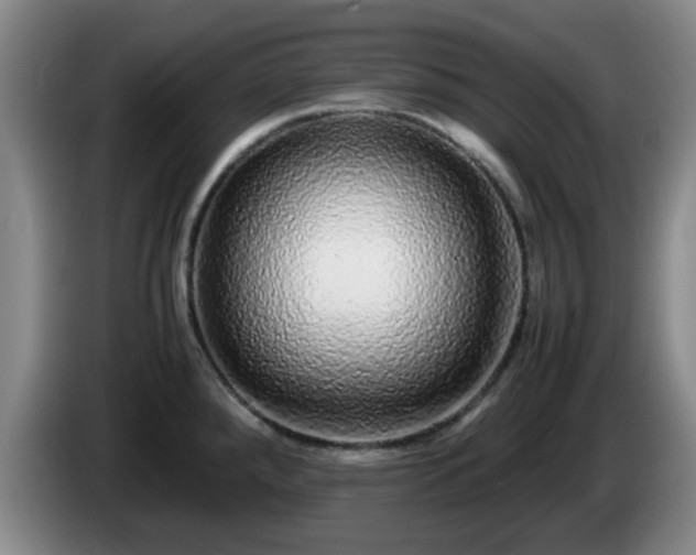 X0000085071288200703121634