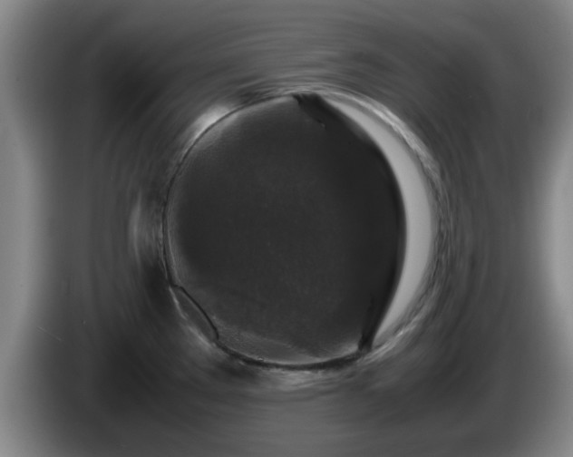 X0000085071289200703121634