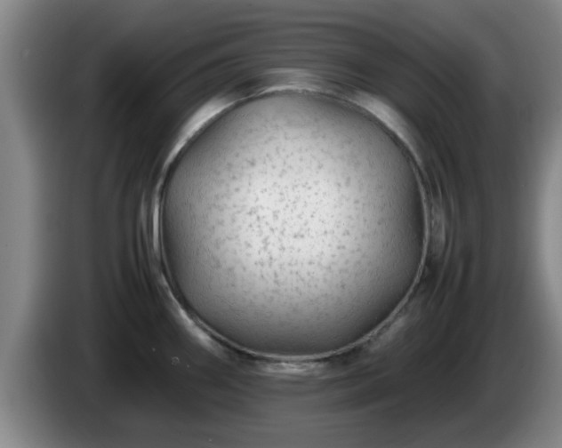 X0000085071290200703121634