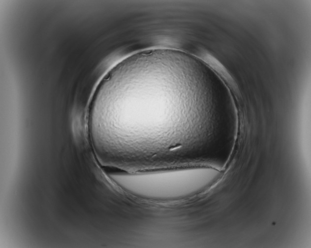 X0000085071292200703121634