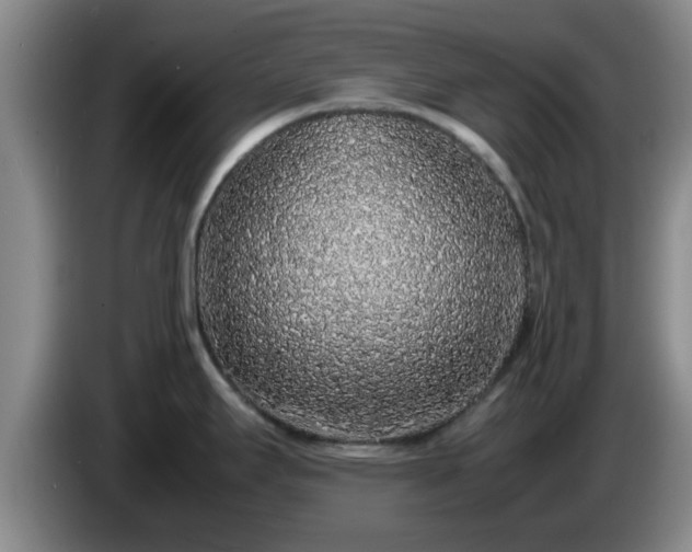 X0000085071295200703121634