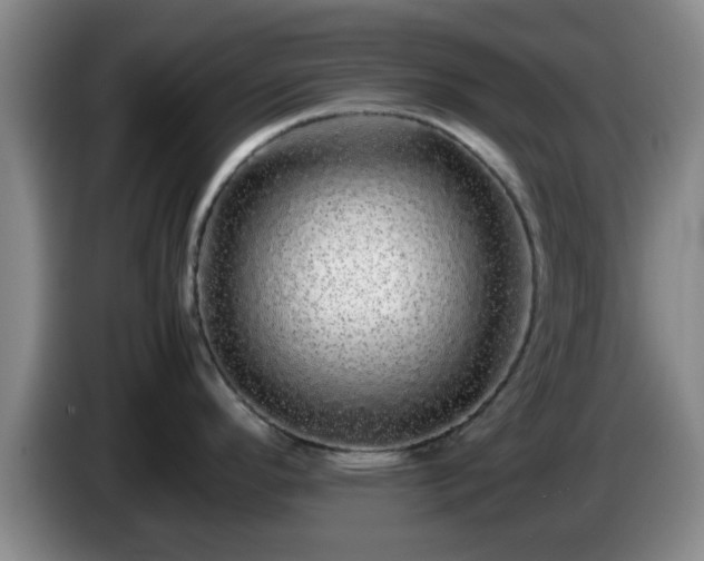 X0000085071296200703121634