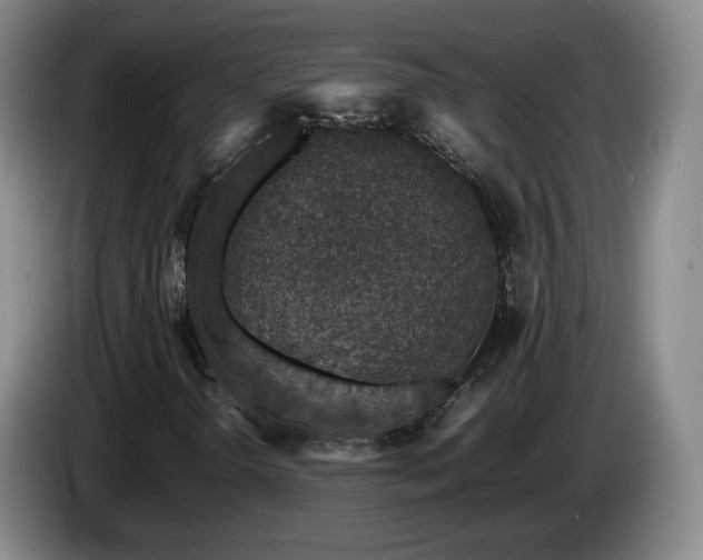 X0000085071298200703121633