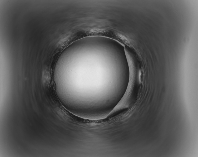 X0000085071300200703121633