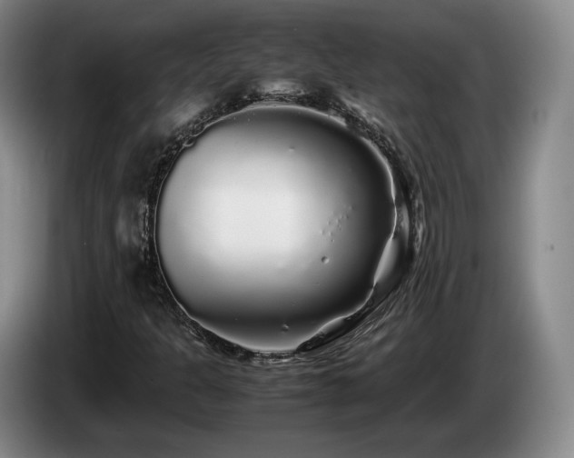 X0000085071301200703121633