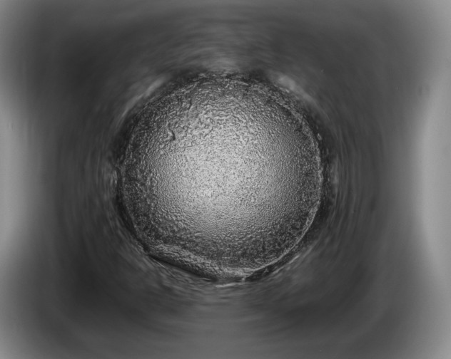 X0000085071302200703121633