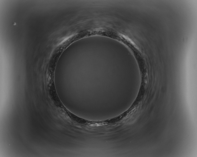 X0000085071303200703121633