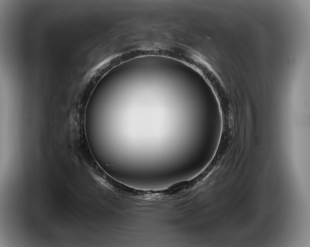 X0000085071304200703121633