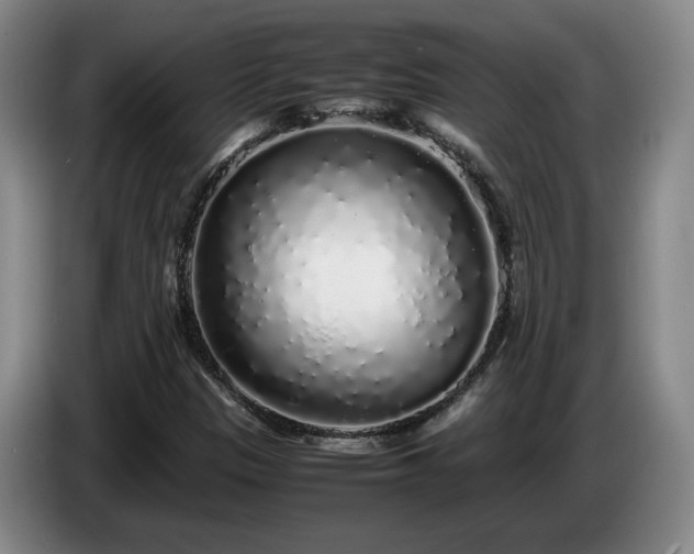 X0000085071305200703121633