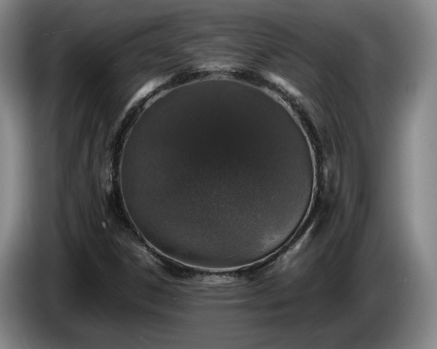 X0000085071306200703121633