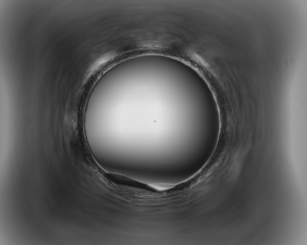 X0000085071307200703121633