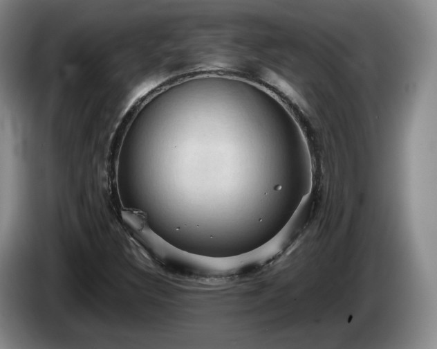 X0000085071308200703121633