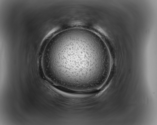 X0000085071309200703121633