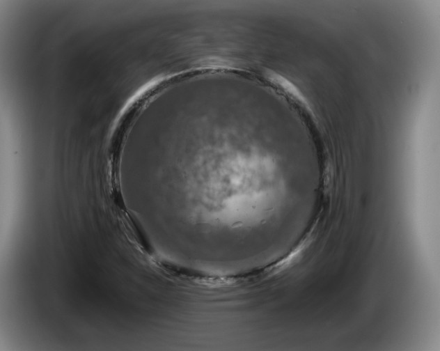 X0000085071310200703121633