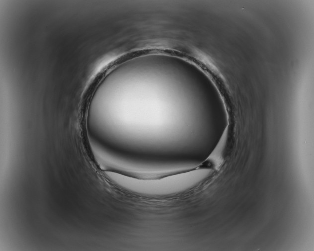 X0000085071312200703121633