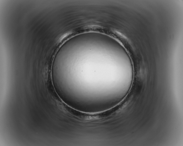 X0000085071313200703121633