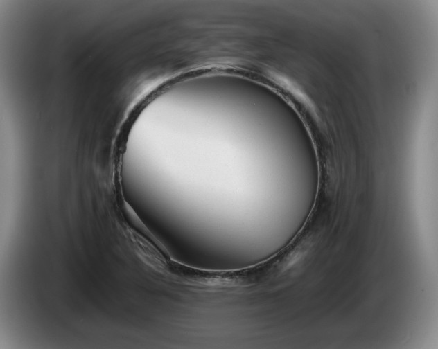 X0000085071316200703121633