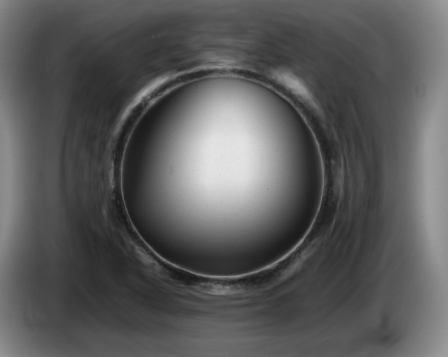 X0000085071318200703121633