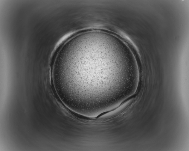 X0000085071320200703121633