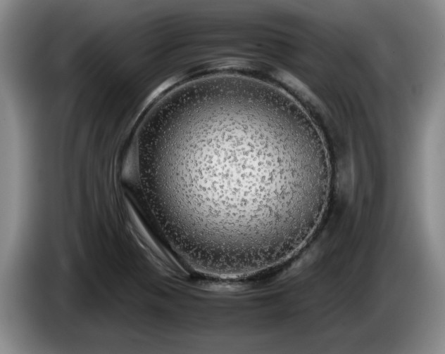 X0000085071321200703121633