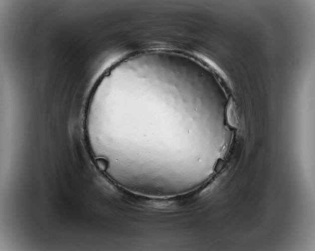 X0000085071325200703121633