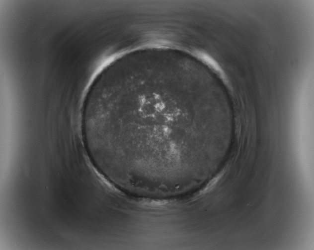 X0000085071326200703121633