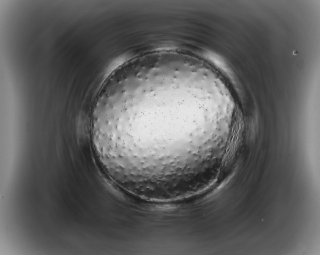 X0000085071329200703121634