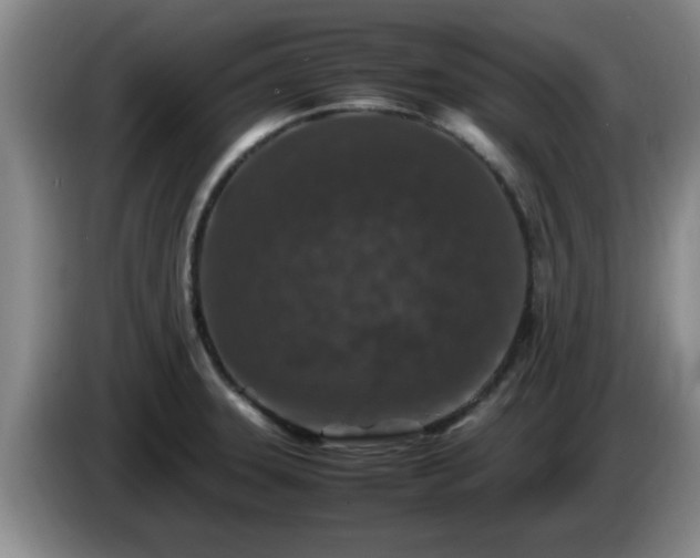 X0000085071331200703121634