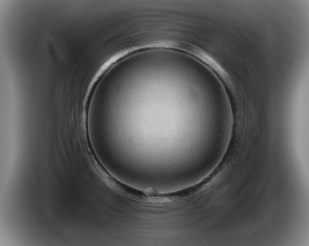 X0000085071332200703121634