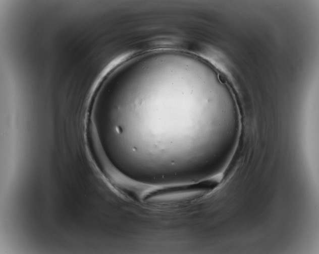 X0000085071333200703121634