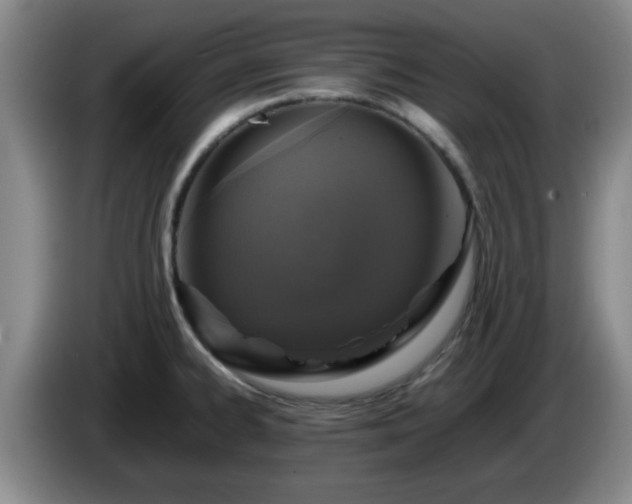 X0000085071334200703121634