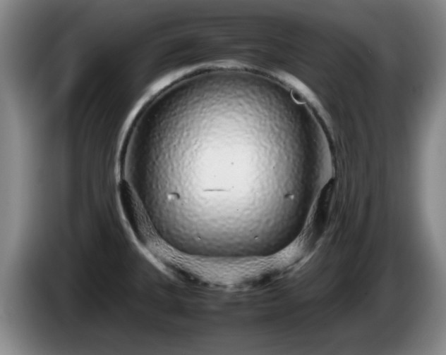 X0000085071335200703121634