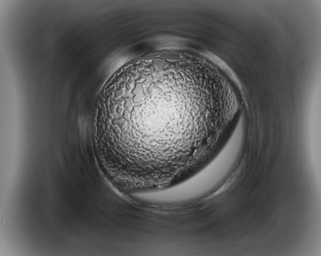 X0000085071337200703121634