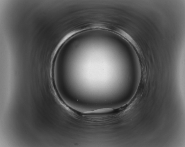 X0000085071339200703121634