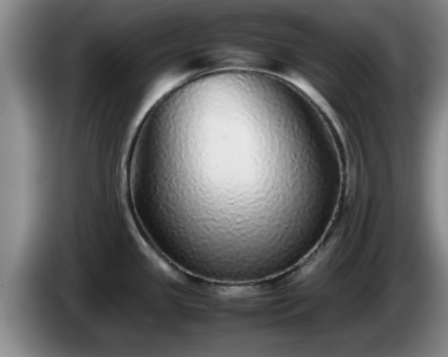 X0000085071341200703121634