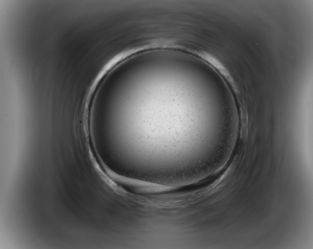 X0000085071342200703121634