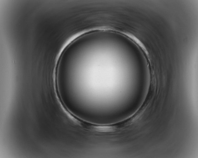 X0000085071343200703121634