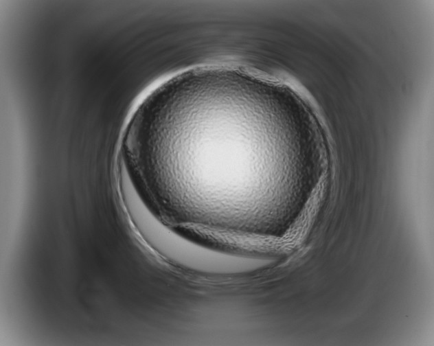 X0000085071344200703121634