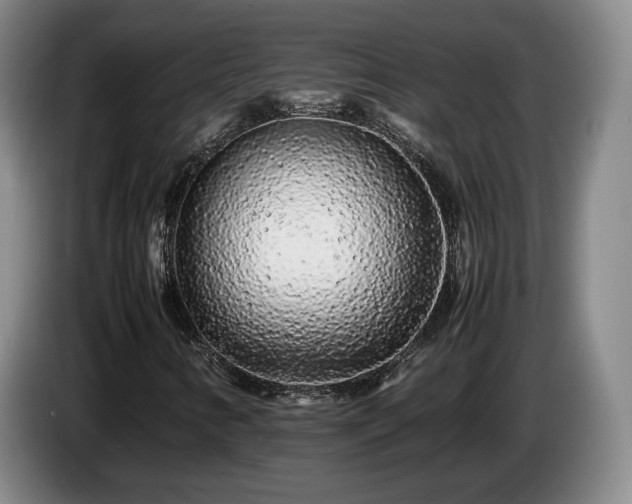 X0000085071346200703121633