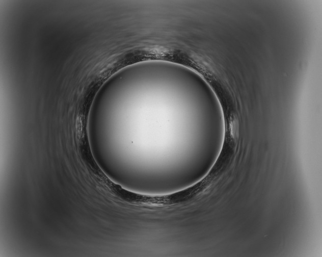 X0000085071347200703121633