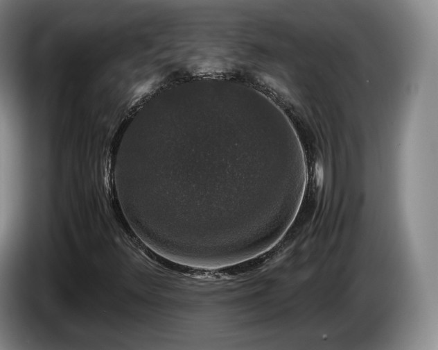 X0000085071348200703121633