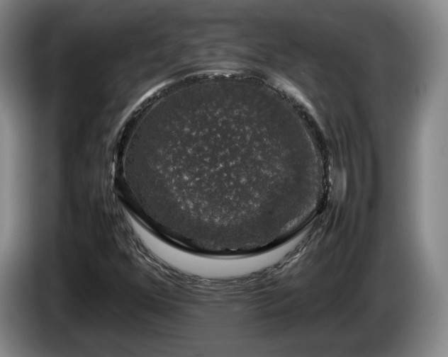 X0000085071352200703121633