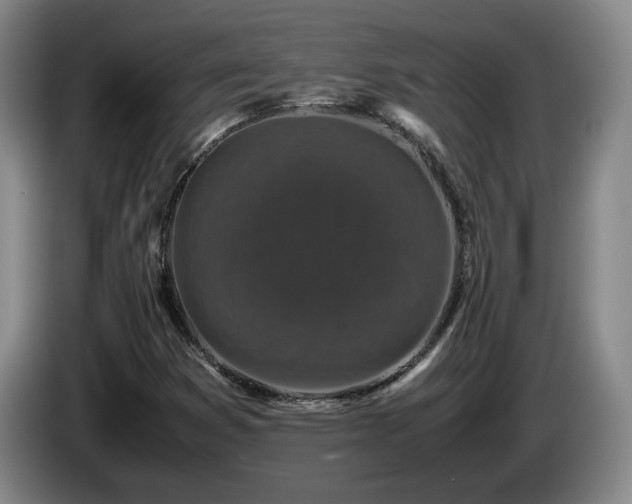 X0000085071353200703121633