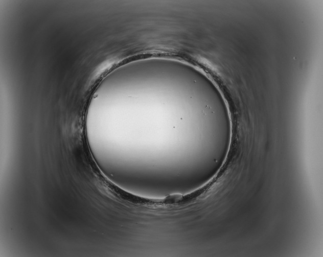 X0000085071355200703121633