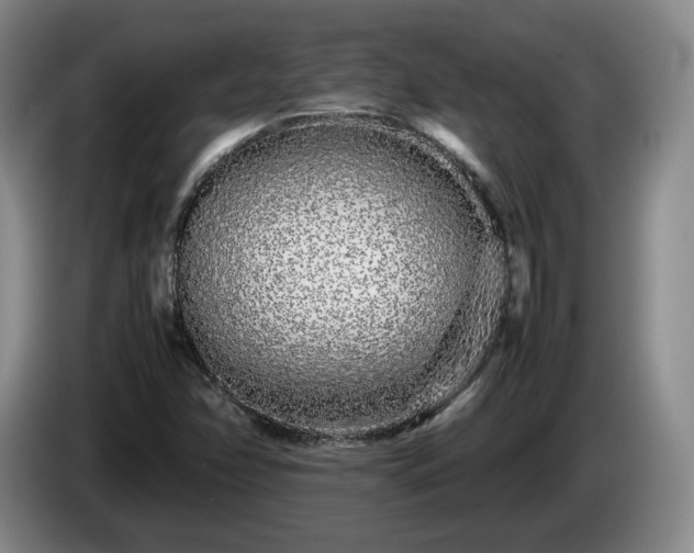 X0000085071358200703121633