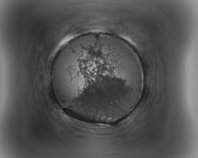 X0000085071359200703121633