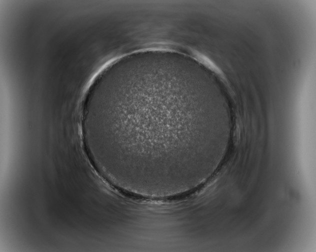 X0000085071360200703121633