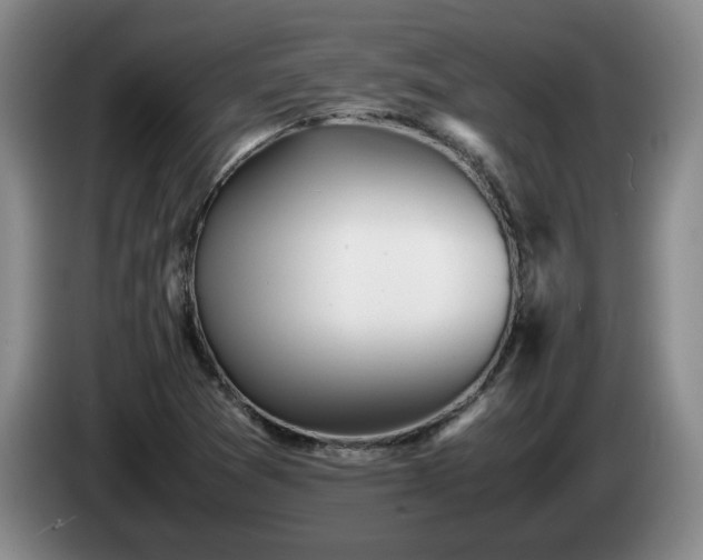 X0000085071361200703121633